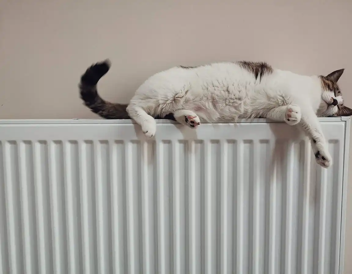 Chat endormi de tout son long sur un radiateur à eau blanc, devant un mur beige clair